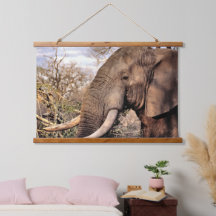 Amoureux de l'art des éléphants