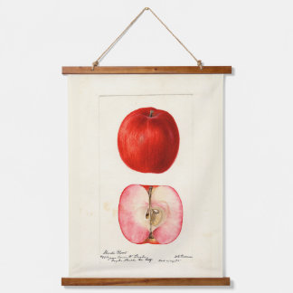 Tapisserie Suspendue Aquarelle pomologique variété Shasta