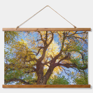 Tapisserie Suspendue Arbre de Cottonwood Parc national de Capitol Ree