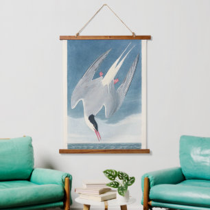 Tapisserie Suspendue Art côtier vintage d'Audubon sur la Sterne arctiqu