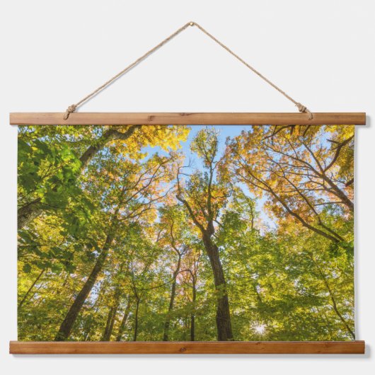 Tapisserie Suspendue Automne dans une forêt à Amesbury, Massachusetts (Devant)