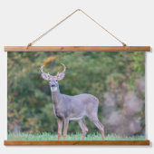 Tapisserie Suspendue Beau cerf à queue blanche en champ (Devant)