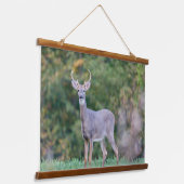 Tapisserie Suspendue Beau cerf à queue blanche en champ (Angulaire)