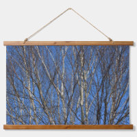 Branches de bouleau d'argent 02