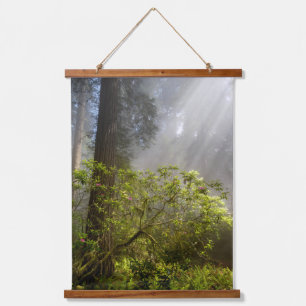 Tapisserie Suspendue Brume matinale sur Rhododendron
