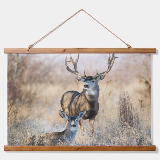 Tapisserie Suspendue Buck Couple | Mule Deer (Devant)