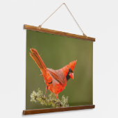 Tapisserie Suspendue Cardinal masculin sur le membre (Angulaire)