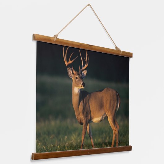 Tapisserie Suspendue Cerf à queue blanche | Choke Canyon State Park, TX (Angulaire)