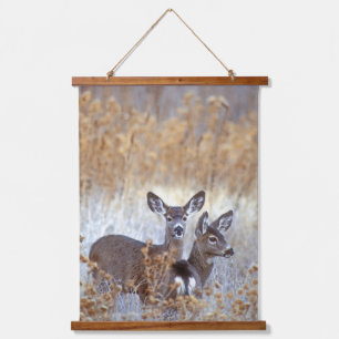Tapisserie Suspendue Cerfs Mulets Sauvages Couple Californie