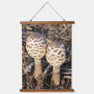 Tapisserie Suspendue Champignon commun de parasol