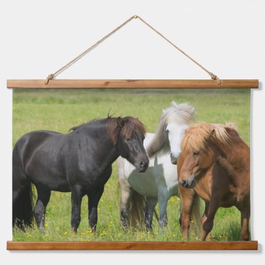 Tapisserie Suspendue Chevaux sur le Ranch, sud de l'Islande (Devant)