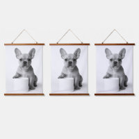 Chien Bouledogue Français Mignon Minimaliste Garda