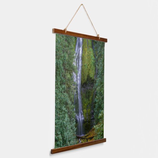 Tapisserie Suspendue Chutes Proxy inférieures | Forêt nationale de Will (Angulaire)
