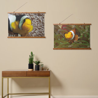 Tapisserie Suspendue Clownfish - Close-Up! So cute - Nemo in Anemone |