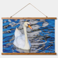 Cygne avec réflexions