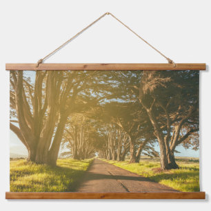 Tapisserie Suspendue Cypress Tunnel Point Reyes