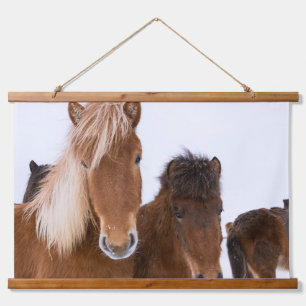 Tapisserie Suspendue De mignons chevaux islandais ensemble