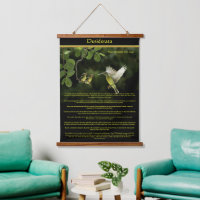 Desiderata Hummingbird nourrit le bébé