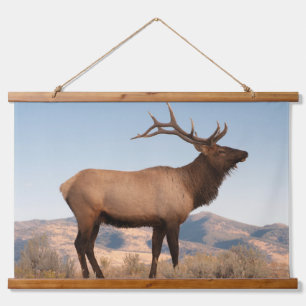 Tapisserie Suspendue Élan mâle près de Mammoth Wyoming