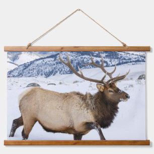 Tapisserie Suspendue Élan mâle Wyoming
