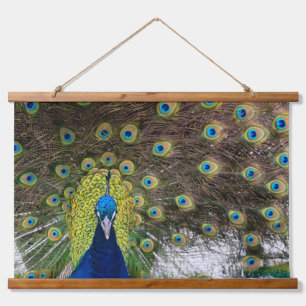 Tapisserie Suspendue Exquise Peacock Feature