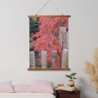 Feuilles d'érable japonais rouge et clôture de bam