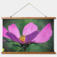 Fleur Cosmos Rose Unique En Fleur