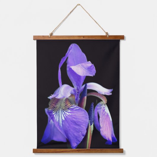 Tapisserie Suspendue Fleur d'iris à drapeau bleu violet (Recto)