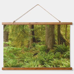 Tapisserie Suspendue Forêt luxuriante et fougères Parc d'État Ecola,