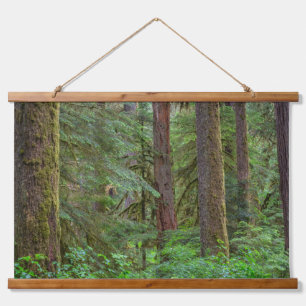 Tapisserie Suspendue Forêt nationale de Willamette Oregon