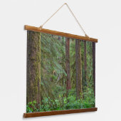 Tapisserie Suspendue Forêt nationale de Willamette | Oregon (Angulaire)