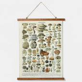 Tapisserie Suspendue Illustrations de champignons vintages par Adolphe  (Recto)