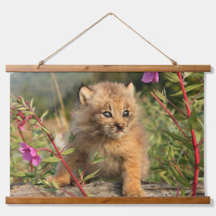 Tapisserie Suspendue Jeune Lynx du Canada, Alaska