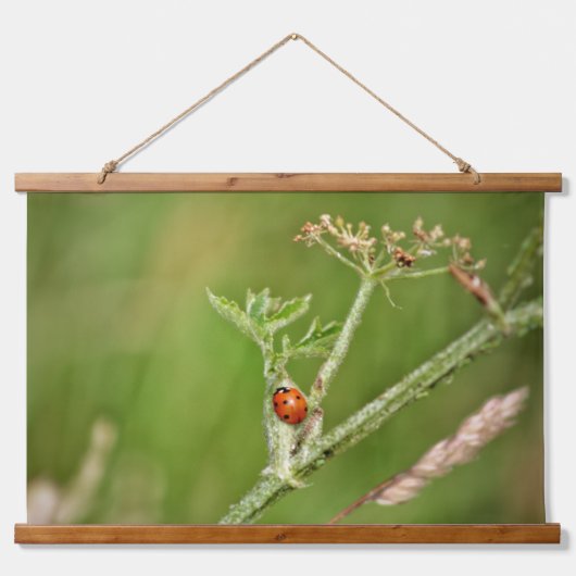 Tapisserie Suspendue Ladybug sur un plante vert (Devant)