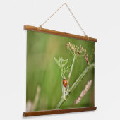 Tapisserie Suspendue Ladybug sur un plante vert (Angulaire)