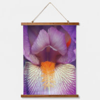 Lavande Portée Iris Fleur Pétale Gros plan