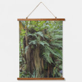 Tapisserie Suspendue Lush Ferns Growing on Tree Stump (Recto)