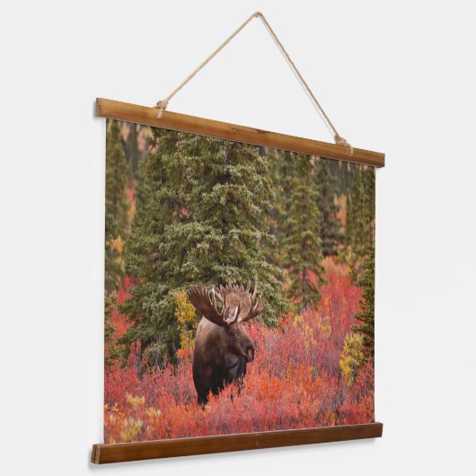 Tapisserie Suspendue Oie Taureau debout Dans Red Dwarf Birch (Angulaire)