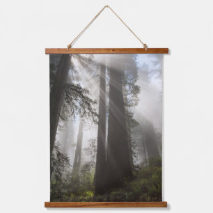 Tapisserie Suspendue Parc national de Redwood Californie