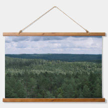 Paysage de forêt et de nuages au-dessus des arbres