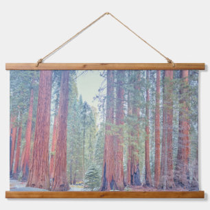 Tapisserie Suspendue Paysage forestier du parc national de Sequoia