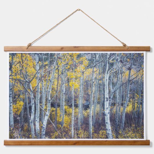 Tapisserie Suspendue Paysage forestier en olivier d'automne doré (Devant)