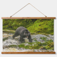 Pêche à l'ours noir | Qua Creek Colombie-Britanniq