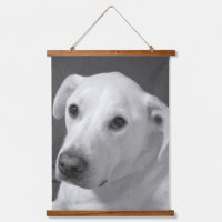 Photo en noir et blanc d'un beau chien à l'âne