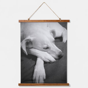 Tapisserie Suspendue Photo en noir et blanc d'un beau chien dormant