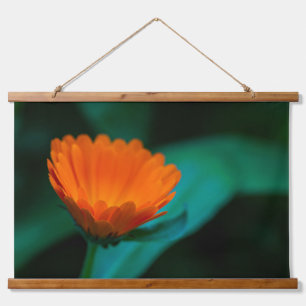 Tapisserie Suspendue Photographie de fleur de marguerite orange