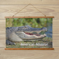 Photographie de la faune de l'alligator américain