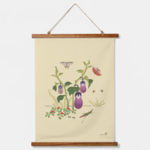 Plantes et insectes _Aubergine