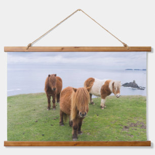 Tapisserie Suspendue Poney Shetland dans un pâturage près de hautes fal