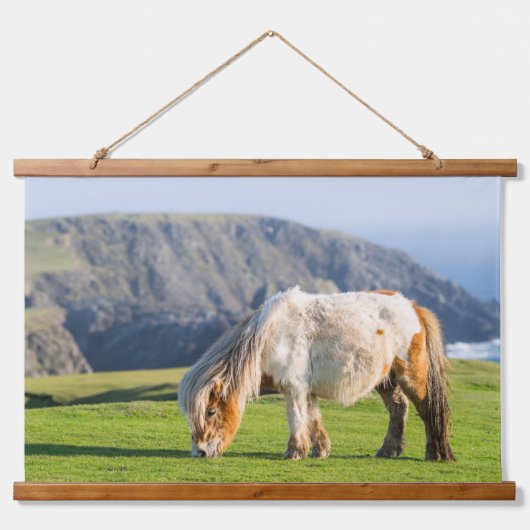 Tapisserie Suspendue Poney Shetland sur le pâturage près de hautes fala (Devant)